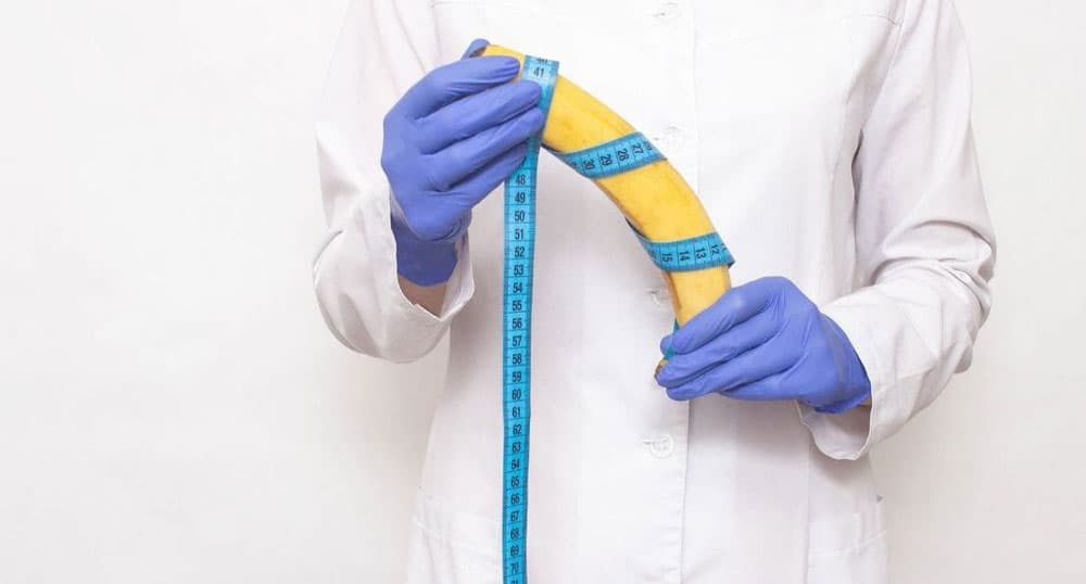 Sample image illustrating penile enlargement, after view